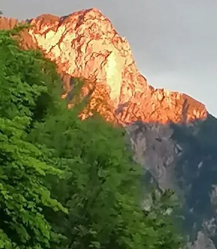 Apartma Arh דירה *