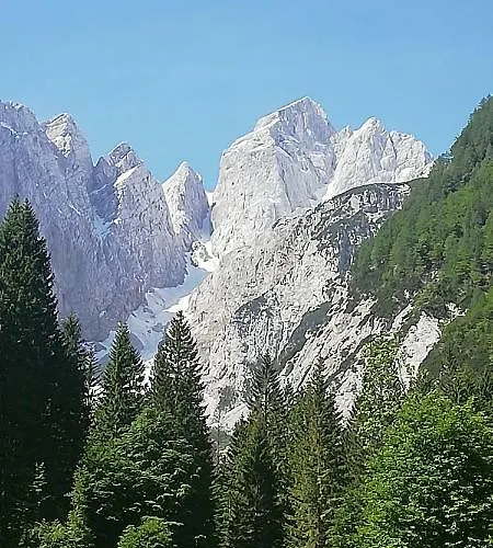 Apartma Arh דירה